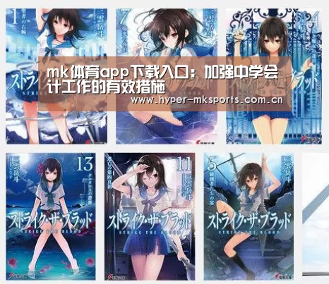 mk体育app下载入口：加强中学会计工作的有效措施