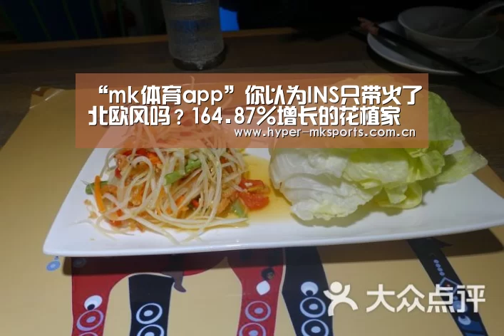 mk体育app