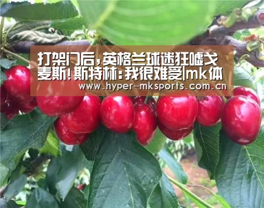 打架门后,英格兰球迷狂嘘戈麦斯!斯特林:我很难受|mk体育app下载入口(图2) mk体育app